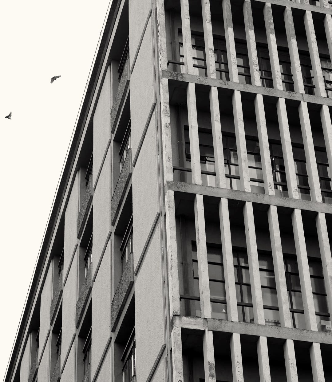 Corner of a brutalist concrete tower lined with vertical fins, two birds crossing an overcast sky.